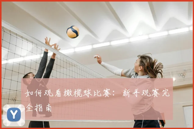 如何观看橄榄球比赛：新手观赛完全指南